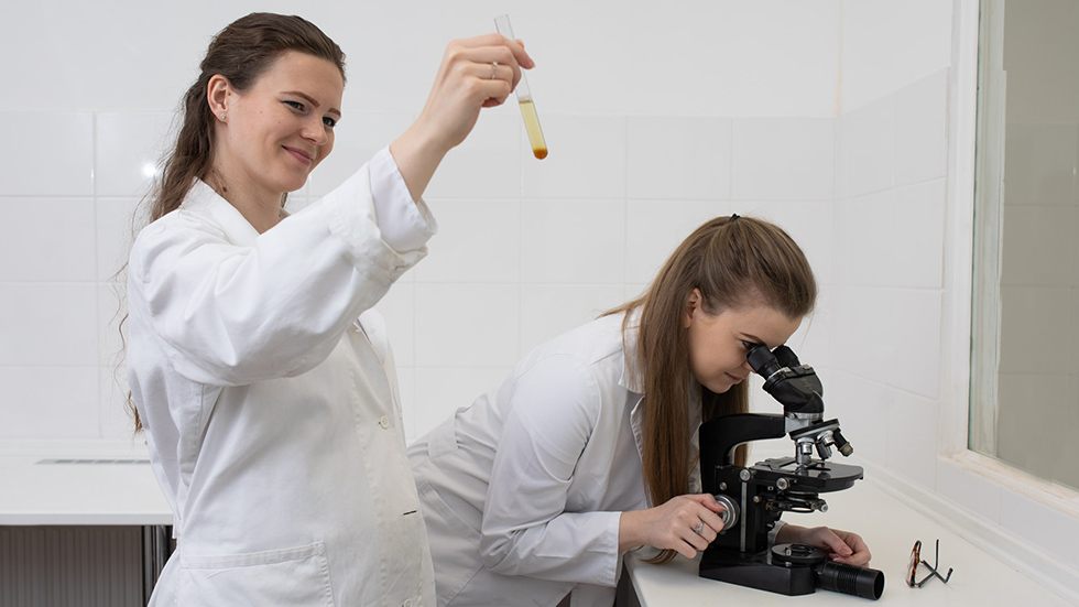 laboratorium